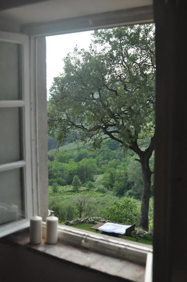 Gospodarstwo agroturystyczne Agriturismo La Forestaria Capannori
