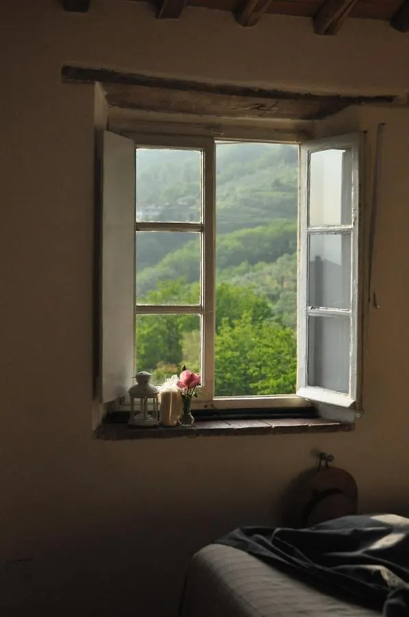 Gospodarstwo agroturystyczne Agriturismo La Forestaria Capannori