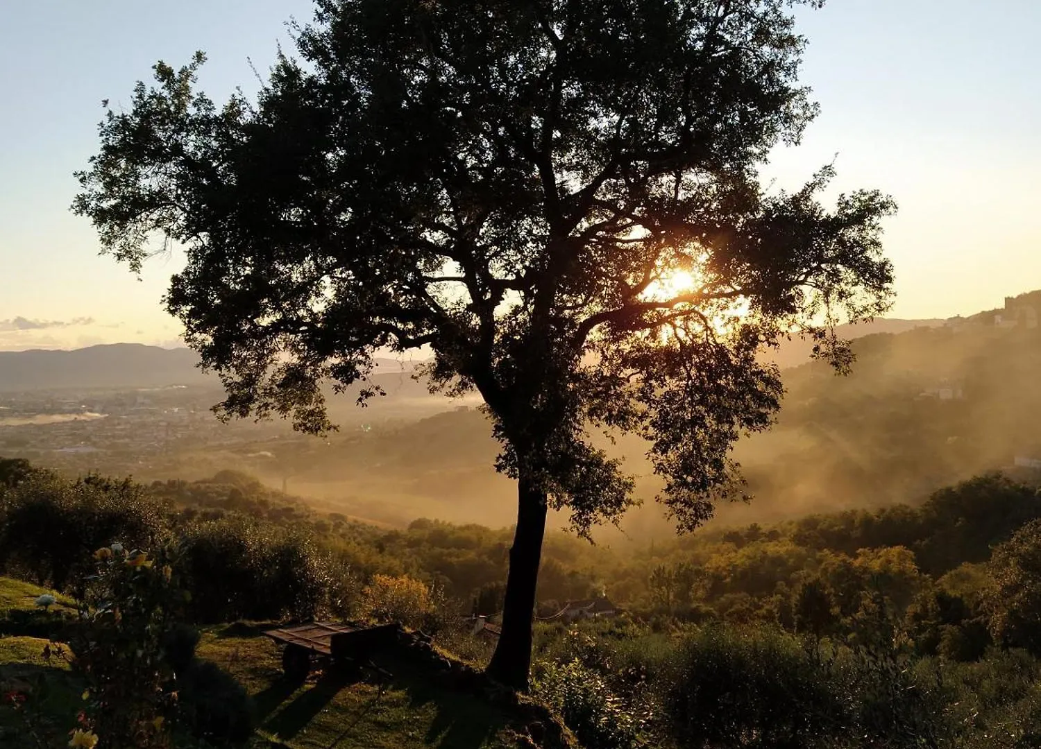 Agriturismo La Forestaria Capannori 0*,  Italy
