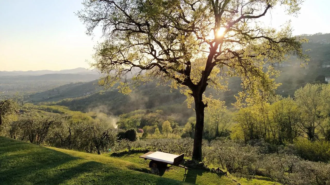 Agriturismo La Forestaria Capannori 0*,  Italy