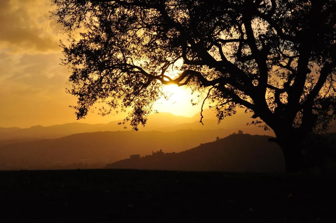 Agriturismo La Forestaria Capannori Farm stay